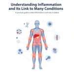 Inflammation and Its Link to Many Conditions