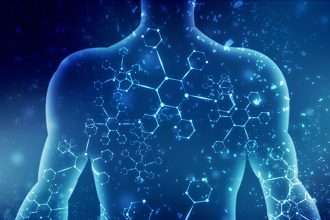 The Ultimate Guide to Preventing Muscle Loss as We Age: The 2026 Blueprint for Vitality and Longevity