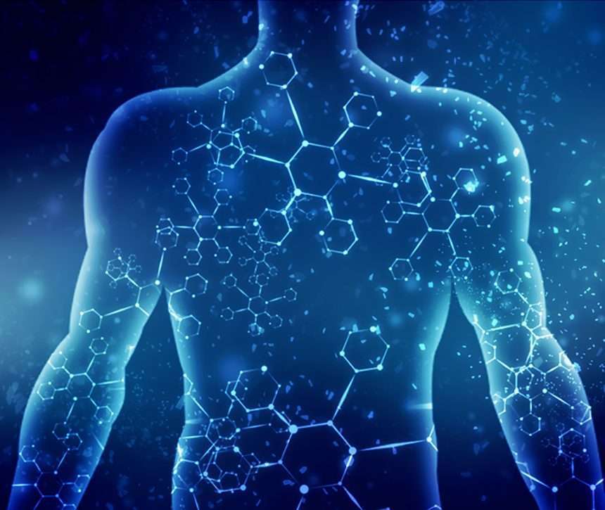 The Ultimate Guide to Preventing Muscle Loss as We Age: The 2026 Blueprint for Vitality and Longevity